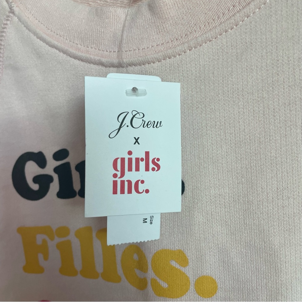 J. CREW GIRLS INC. PINK PULLOVER SWEATER SIZE MEDIUM LONG SLEEVE CREW NECK NWT - Picture 11 of 13